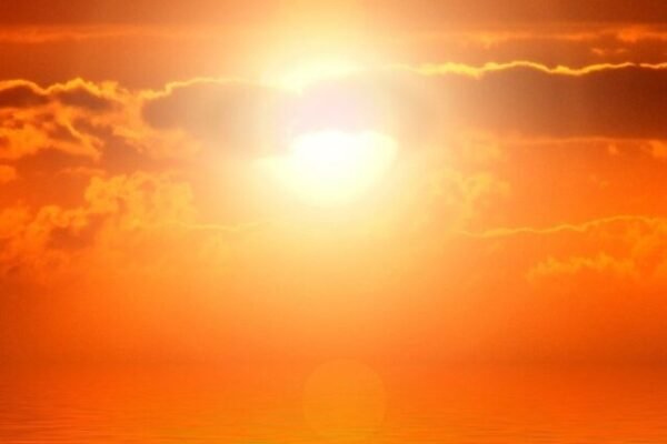 Vitamin D: Sun, The rich Source